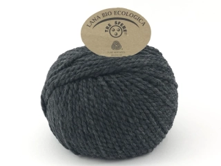 Lana Bio Ecologica 100 g - 4 tmavosivá
